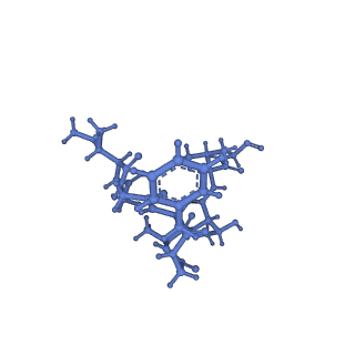 20434_6ppe_Q_v1-1
ClpP and ClpX IGF loop in ClpX-ClpP complex with D7 symmetry