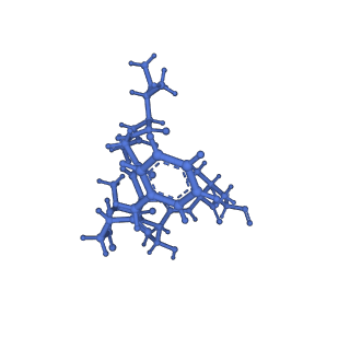 20434_6ppe_R_v1-1
ClpP and ClpX IGF loop in ClpX-ClpP complex with D7 symmetry