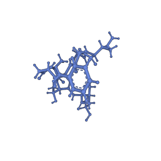 20434_6ppe_S_v1-1
ClpP and ClpX IGF loop in ClpX-ClpP complex with D7 symmetry