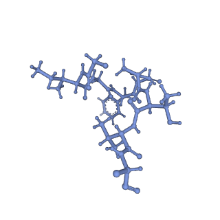 20434_6ppe_V_v1-1
ClpP and ClpX IGF loop in ClpX-ClpP complex with D7 symmetry