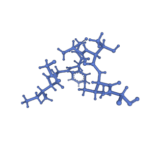 20434_6ppe_X_v1-1
ClpP and ClpX IGF loop in ClpX-ClpP complex with D7 symmetry