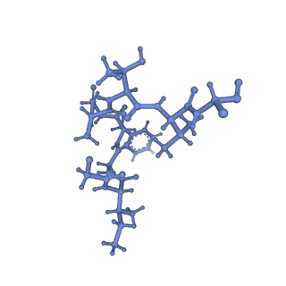 20434_6ppe_Y_v1-1
ClpP and ClpX IGF loop in ClpX-ClpP complex with D7 symmetry