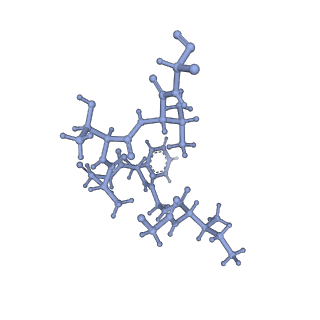 20434_6ppe_Z_v1-1
ClpP and ClpX IGF loop in ClpX-ClpP complex with D7 symmetry