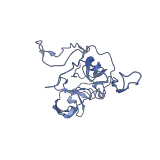 20435_6ppf_C_v1-3
Bacterial 45SRbgA ribosomal particle class B