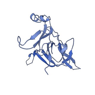 20435_6ppf_D_v1-2
Bacterial 45SRbgA ribosomal particle class B