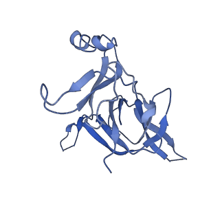 20435_6ppf_D_v1-3
Bacterial 45SRbgA ribosomal particle class B