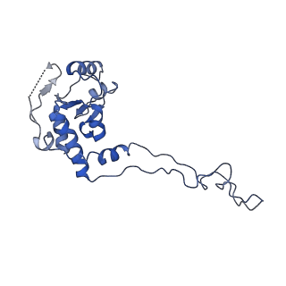 20435_6ppf_E_v1-2
Bacterial 45SRbgA ribosomal particle class B