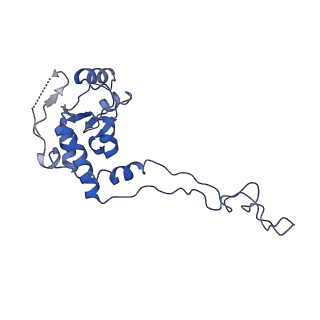 20435_6ppf_E_v1-3
Bacterial 45SRbgA ribosomal particle class B