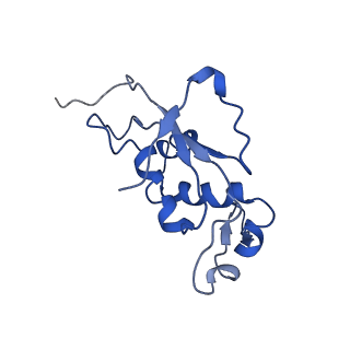 20435_6ppf_J_v1-2
Bacterial 45SRbgA ribosomal particle class B