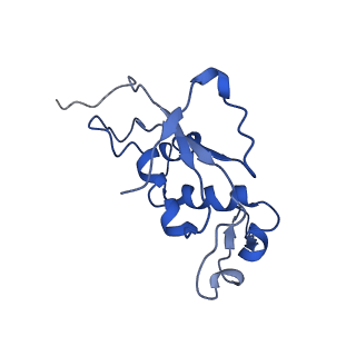 20435_6ppf_J_v1-3
Bacterial 45SRbgA ribosomal particle class B