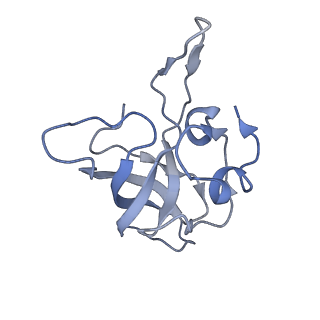 20435_6ppf_K_v1-2
Bacterial 45SRbgA ribosomal particle class B