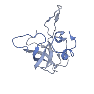 20435_6ppf_K_v1-3
Bacterial 45SRbgA ribosomal particle class B