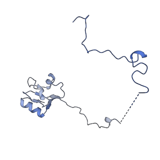 20435_6ppf_L_v1-2
Bacterial 45SRbgA ribosomal particle class B