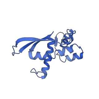 20435_6ppf_N_v1-2
Bacterial 45SRbgA ribosomal particle class B