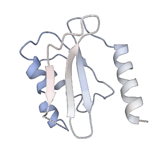 20435_6ppf_O_v1-3
Bacterial 45SRbgA ribosomal particle class B