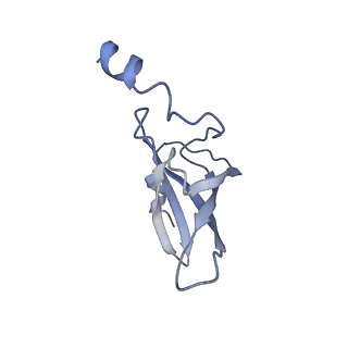 20435_6ppf_P_v1-2
Bacterial 45SRbgA ribosomal particle class B