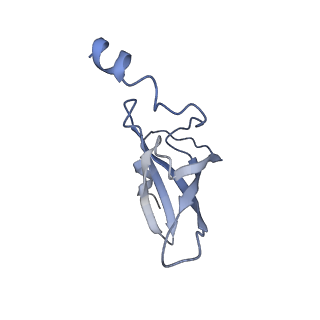 20435_6ppf_P_v1-3
Bacterial 45SRbgA ribosomal particle class B