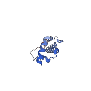 20435_6ppf_Q_v1-2
Bacterial 45SRbgA ribosomal particle class B