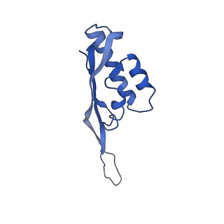 20435_6ppf_S_v1-2
Bacterial 45SRbgA ribosomal particle class B