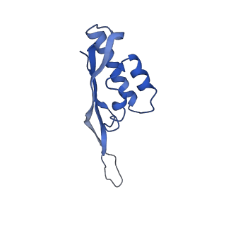 20435_6ppf_S_v1-3
Bacterial 45SRbgA ribosomal particle class B