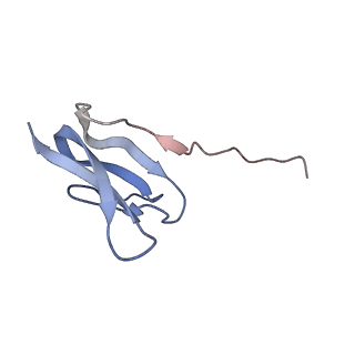 20435_6ppf_V_v1-3
Bacterial 45SRbgA ribosomal particle class B