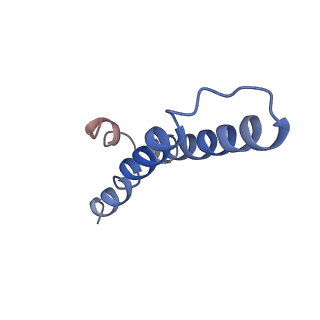 20435_6ppf_Y_v1-3
Bacterial 45SRbgA ribosomal particle class B