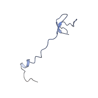 20435_6ppf_b_v1-2
Bacterial 45SRbgA ribosomal particle class B