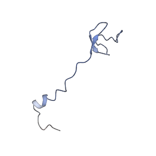 20435_6ppf_b_v1-3
Bacterial 45SRbgA ribosomal particle class B