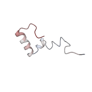20435_6ppf_d_v1-2
Bacterial 45SRbgA ribosomal particle class B
