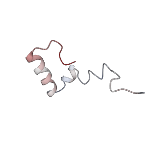 20435_6ppf_d_v1-3
Bacterial 45SRbgA ribosomal particle class B