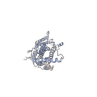 20437_6ppi_A_v1-2
Kaposi's sarcoma-associated herpesvirus (KSHV), C12 portal dodecamer structure