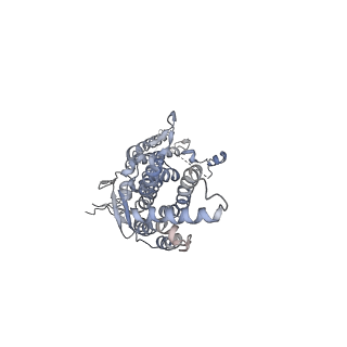 20437_6ppi_A_v1-3
Kaposi's sarcoma-associated herpesvirus (KSHV), C12 portal dodecamer structure