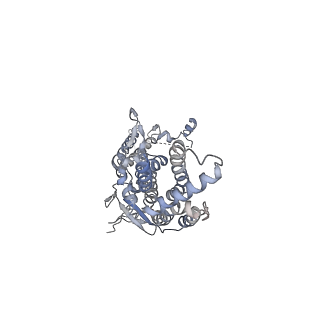 20437_6ppi_B_v1-2
Kaposi's sarcoma-associated herpesvirus (KSHV), C12 portal dodecamer structure