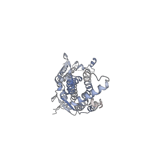 20437_6ppi_B_v1-3
Kaposi's sarcoma-associated herpesvirus (KSHV), C12 portal dodecamer structure