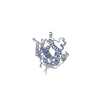 20437_6ppi_C_v1-2
Kaposi's sarcoma-associated herpesvirus (KSHV), C12 portal dodecamer structure
