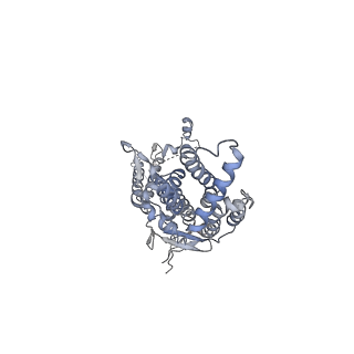 20437_6ppi_C_v1-3
Kaposi's sarcoma-associated herpesvirus (KSHV), C12 portal dodecamer structure