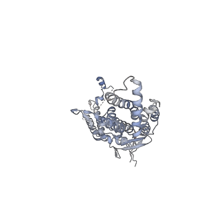 20437_6ppi_D_v1-2
Kaposi's sarcoma-associated herpesvirus (KSHV), C12 portal dodecamer structure