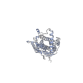 20437_6ppi_D_v1-3
Kaposi's sarcoma-associated herpesvirus (KSHV), C12 portal dodecamer structure