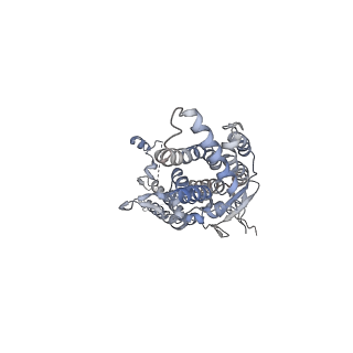 20437_6ppi_E_v1-2
Kaposi's sarcoma-associated herpesvirus (KSHV), C12 portal dodecamer structure