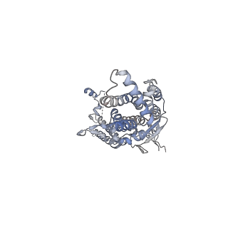 20437_6ppi_E_v1-3
Kaposi's sarcoma-associated herpesvirus (KSHV), C12 portal dodecamer structure