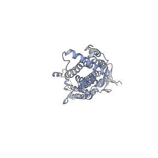 20437_6ppi_F_v1-2
Kaposi's sarcoma-associated herpesvirus (KSHV), C12 portal dodecamer structure
