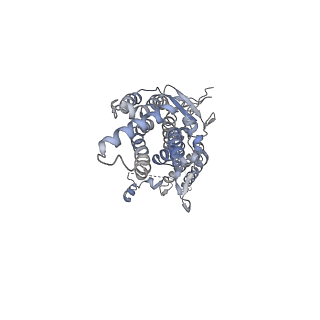 20437_6ppi_H_v1-2
Kaposi's sarcoma-associated herpesvirus (KSHV), C12 portal dodecamer structure