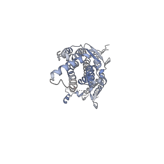 20437_6ppi_H_v1-3
Kaposi's sarcoma-associated herpesvirus (KSHV), C12 portal dodecamer structure