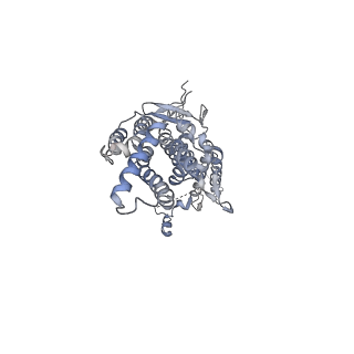 20437_6ppi_I_v1-2
Kaposi's sarcoma-associated herpesvirus (KSHV), C12 portal dodecamer structure