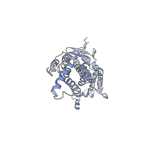 20437_6ppi_I_v1-3
Kaposi's sarcoma-associated herpesvirus (KSHV), C12 portal dodecamer structure