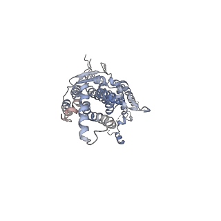 20437_6ppi_J_v1-2
Kaposi's sarcoma-associated herpesvirus (KSHV), C12 portal dodecamer structure