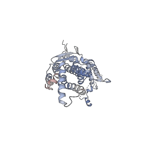 20437_6ppi_J_v1-3
Kaposi's sarcoma-associated herpesvirus (KSHV), C12 portal dodecamer structure