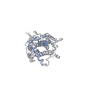 20437_6ppi_K_v1-2
Kaposi's sarcoma-associated herpesvirus (KSHV), C12 portal dodecamer structure