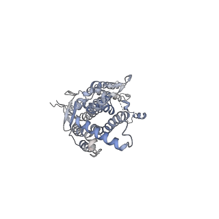20437_6ppi_L_v1-2
Kaposi's sarcoma-associated herpesvirus (KSHV), C12 portal dodecamer structure