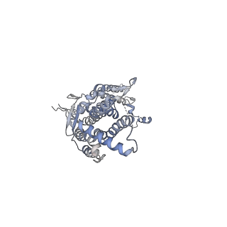 20437_6ppi_L_v1-3
Kaposi's sarcoma-associated herpesvirus (KSHV), C12 portal dodecamer structure